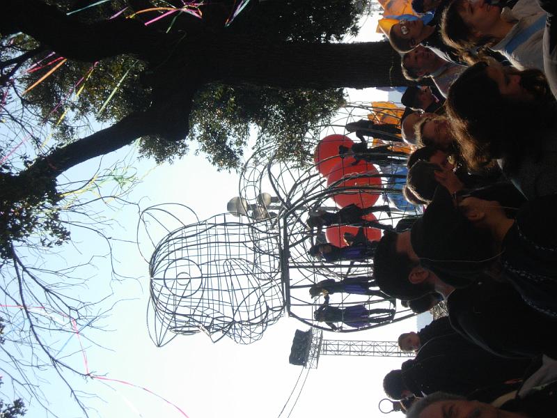 fer.JPG