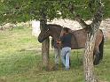 PICT0046