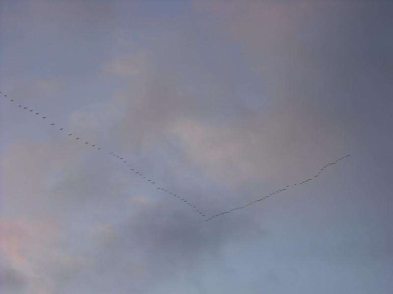 DSCF0227.JPG