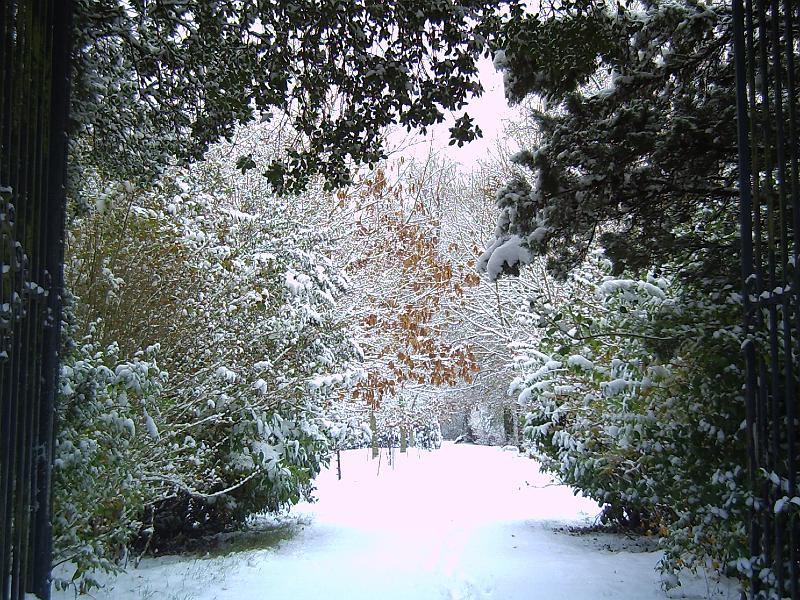 PICT0079.JPG