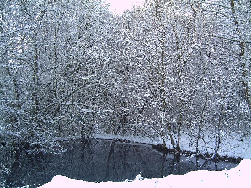 PICT0081.JPG