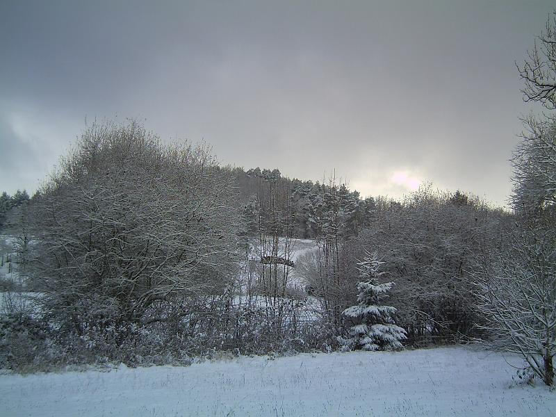 PICT0086.JPG