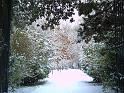 PICT0079