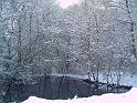 PICT0081