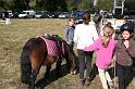 IMG_0940