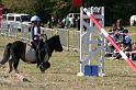 IMG_0941