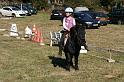 IMG_0955