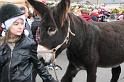 IMG_1842